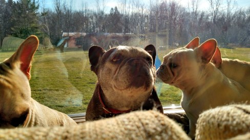 IMG_20141226_141508896_HDR