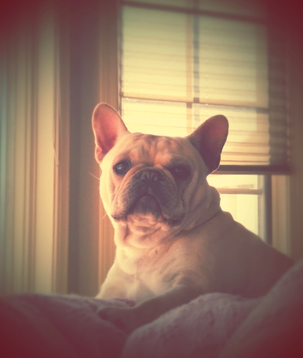 IMG_20150227_163034553