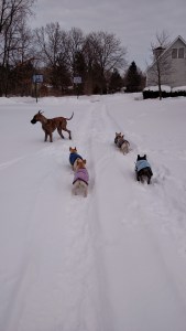 IMG_20150206_164812875